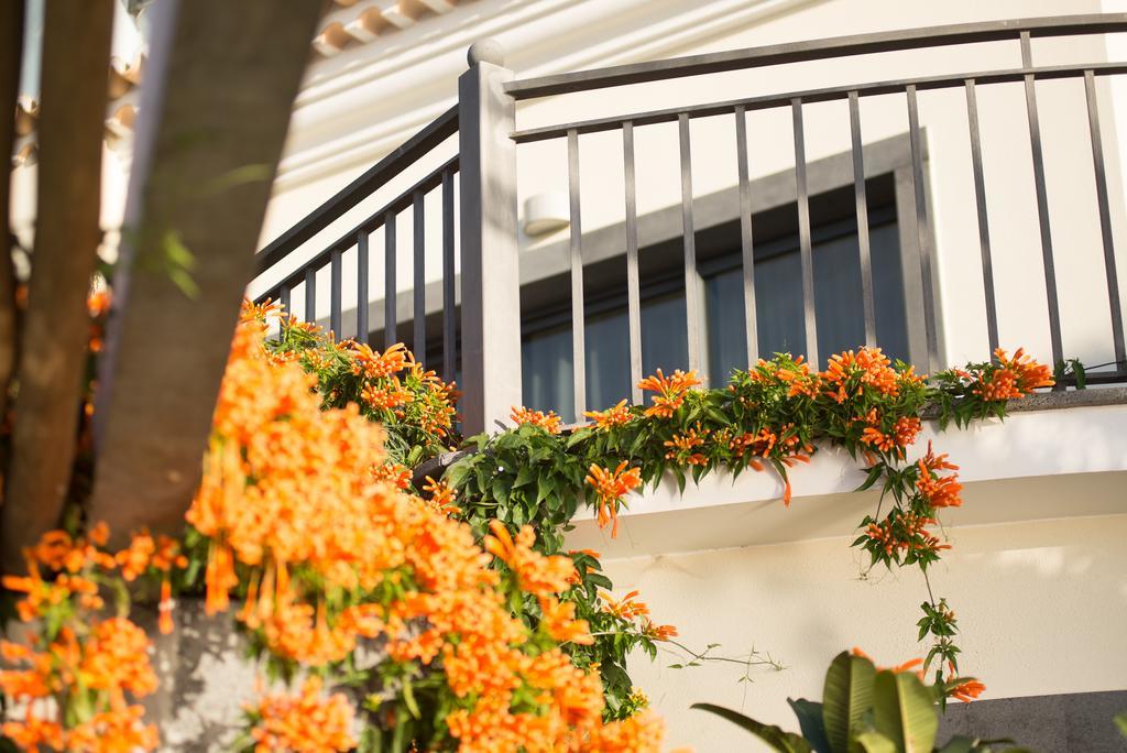 Villa Ocean Cliff Ponta do Sol  Exterior foto